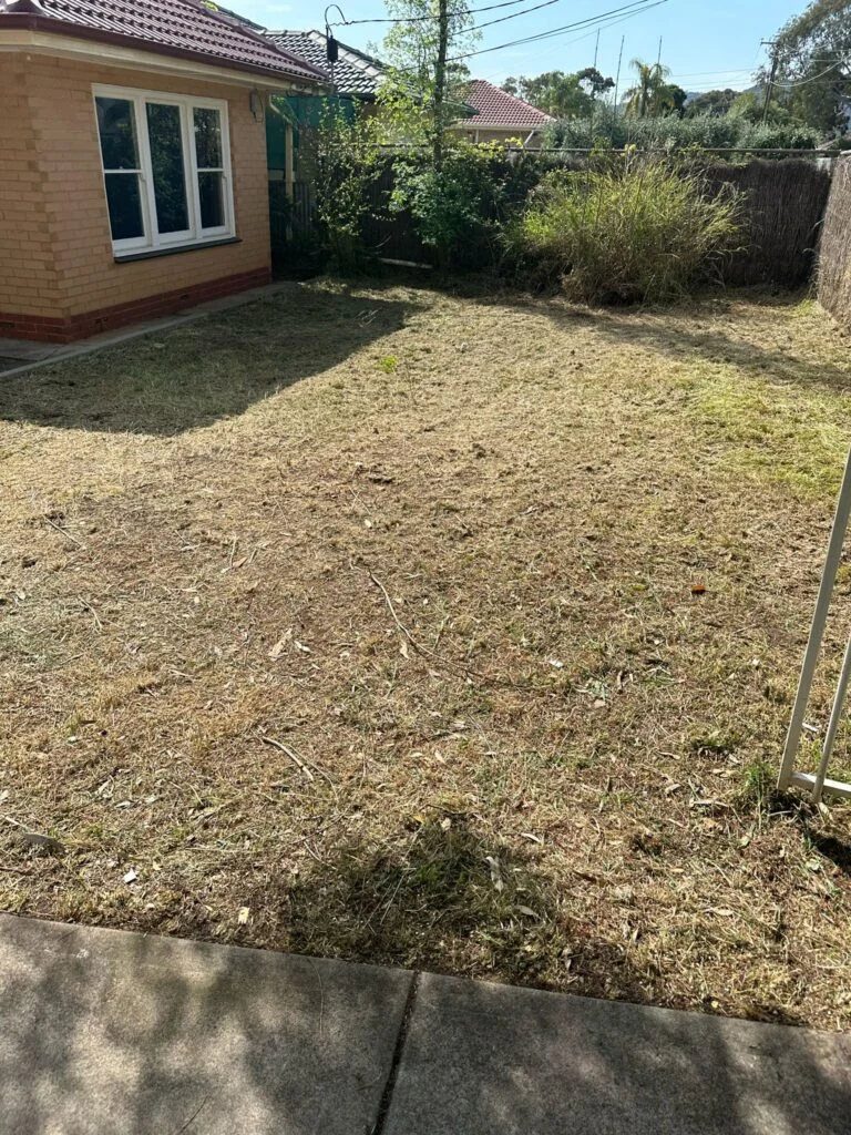 Rental-Ressurection-4-768x1024 Property Prep & Clearance Adelaide | Jeff Gobell Contracting
