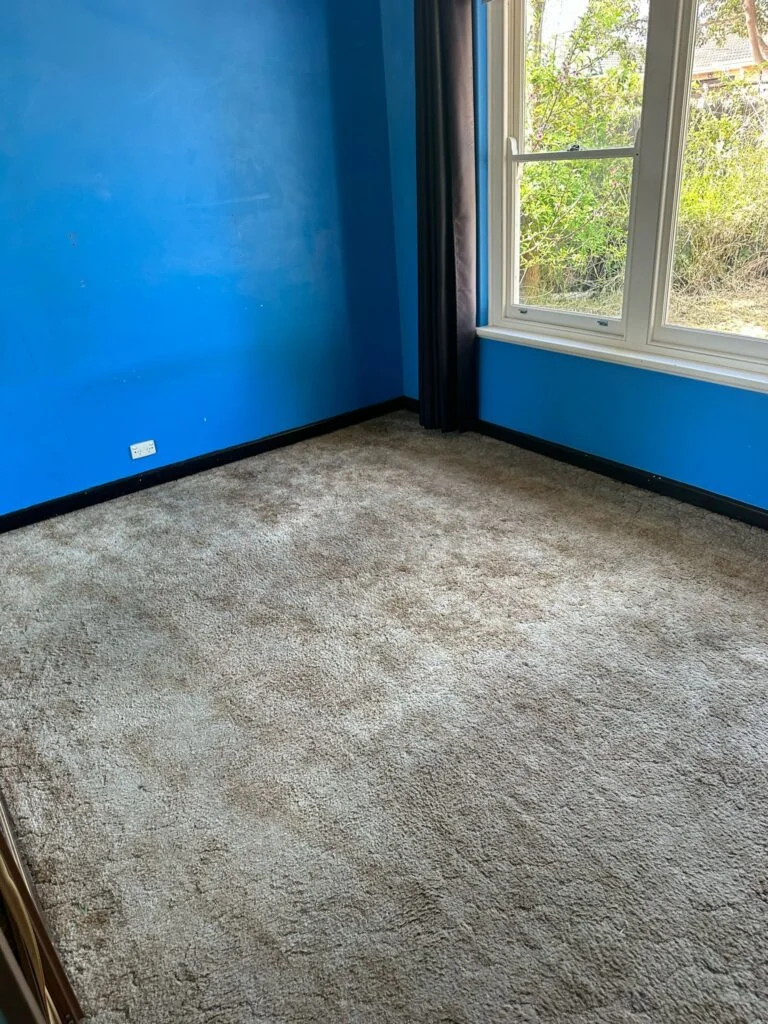 Rental-Ressurection-8-768x1024 Rental-Ressurection-8-768x1024